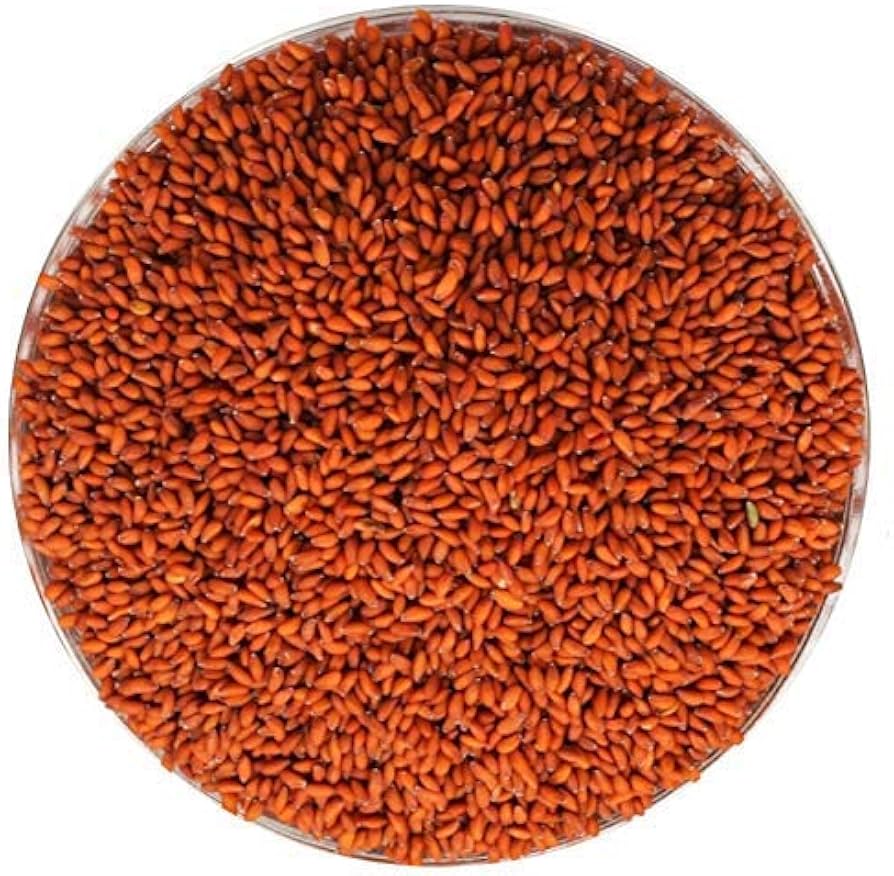 Halim Seeds
